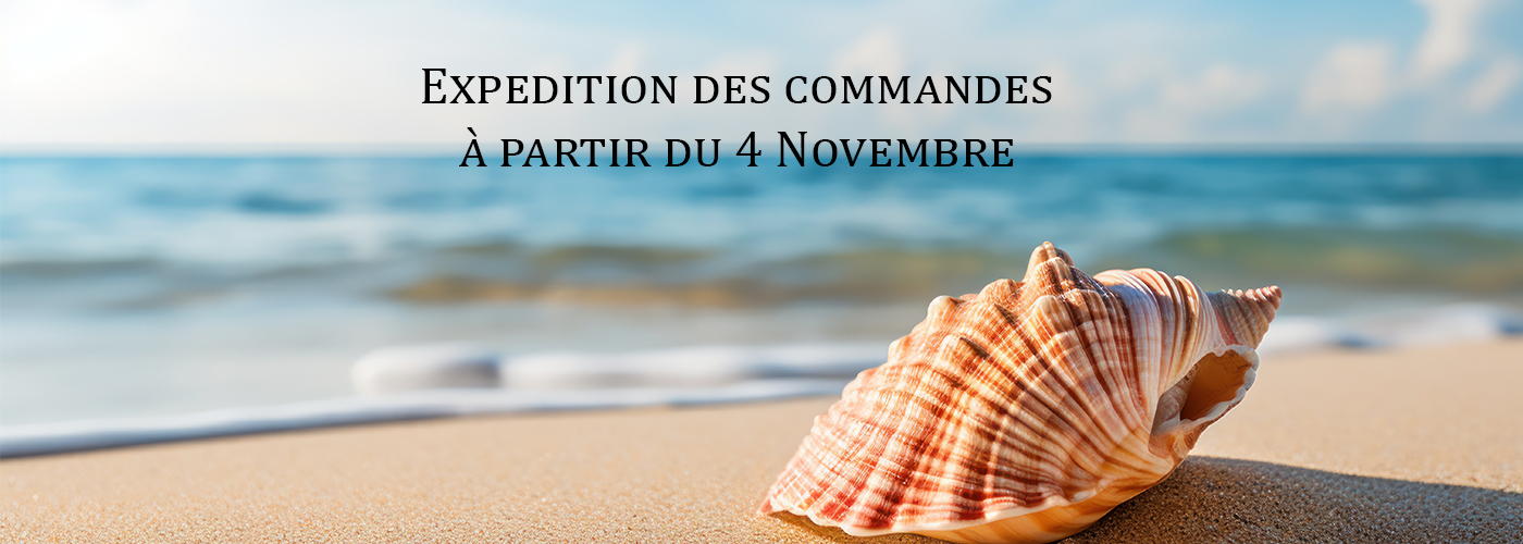 Slider-4-Novembre-2